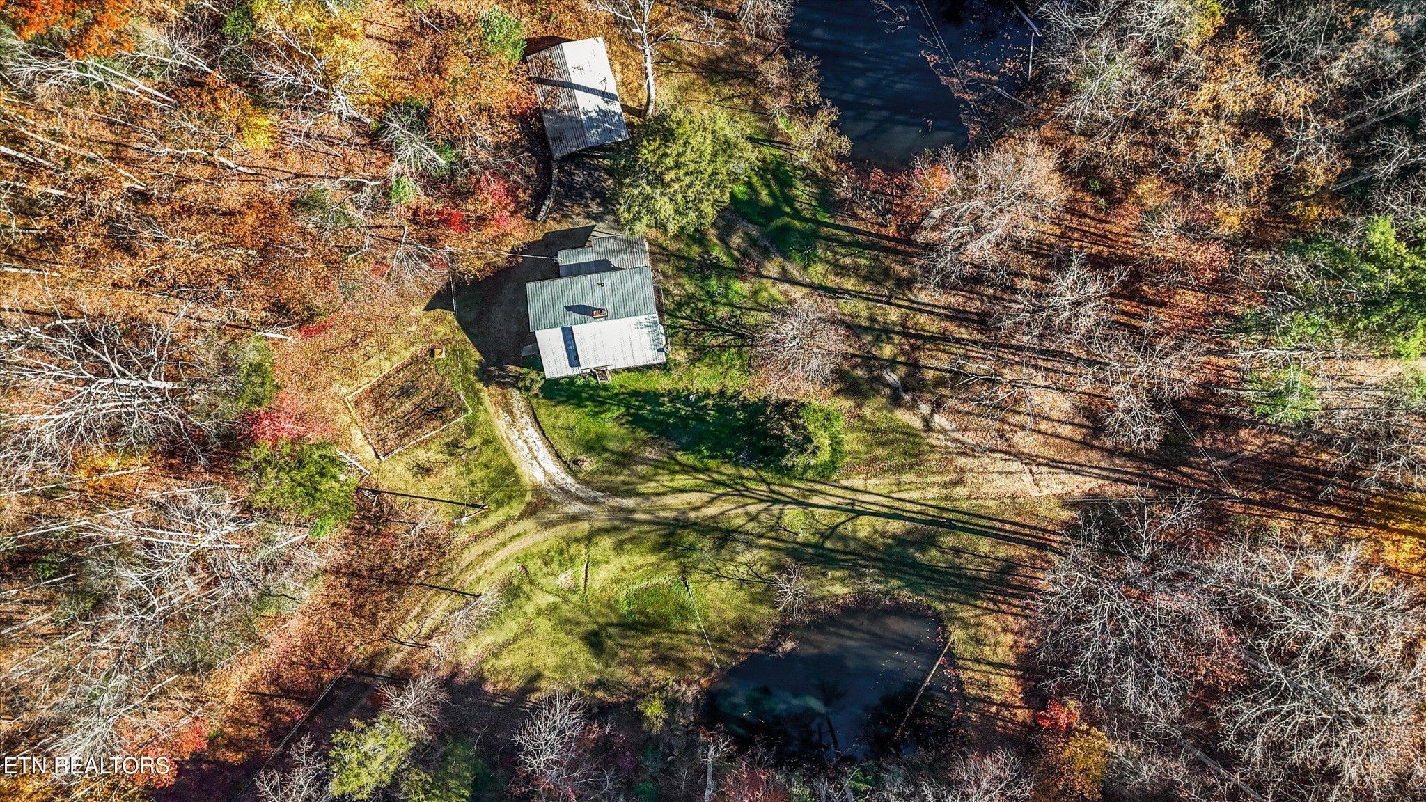 320 Caney Branch Road Tellico Plains, TN 37385 - Photo 32 of 37 Gallery Image 32