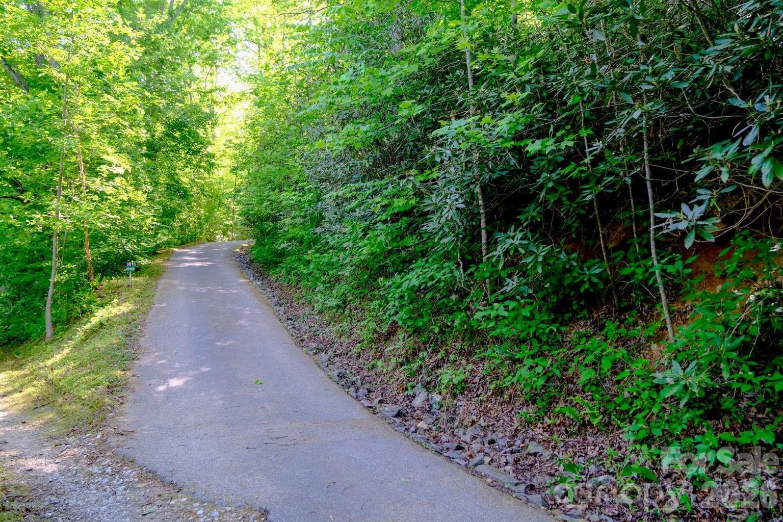 3815 Bat Cave Road Old Fort, NC 28762 - Photo 35 of 45 a view of a pathway both side of yard