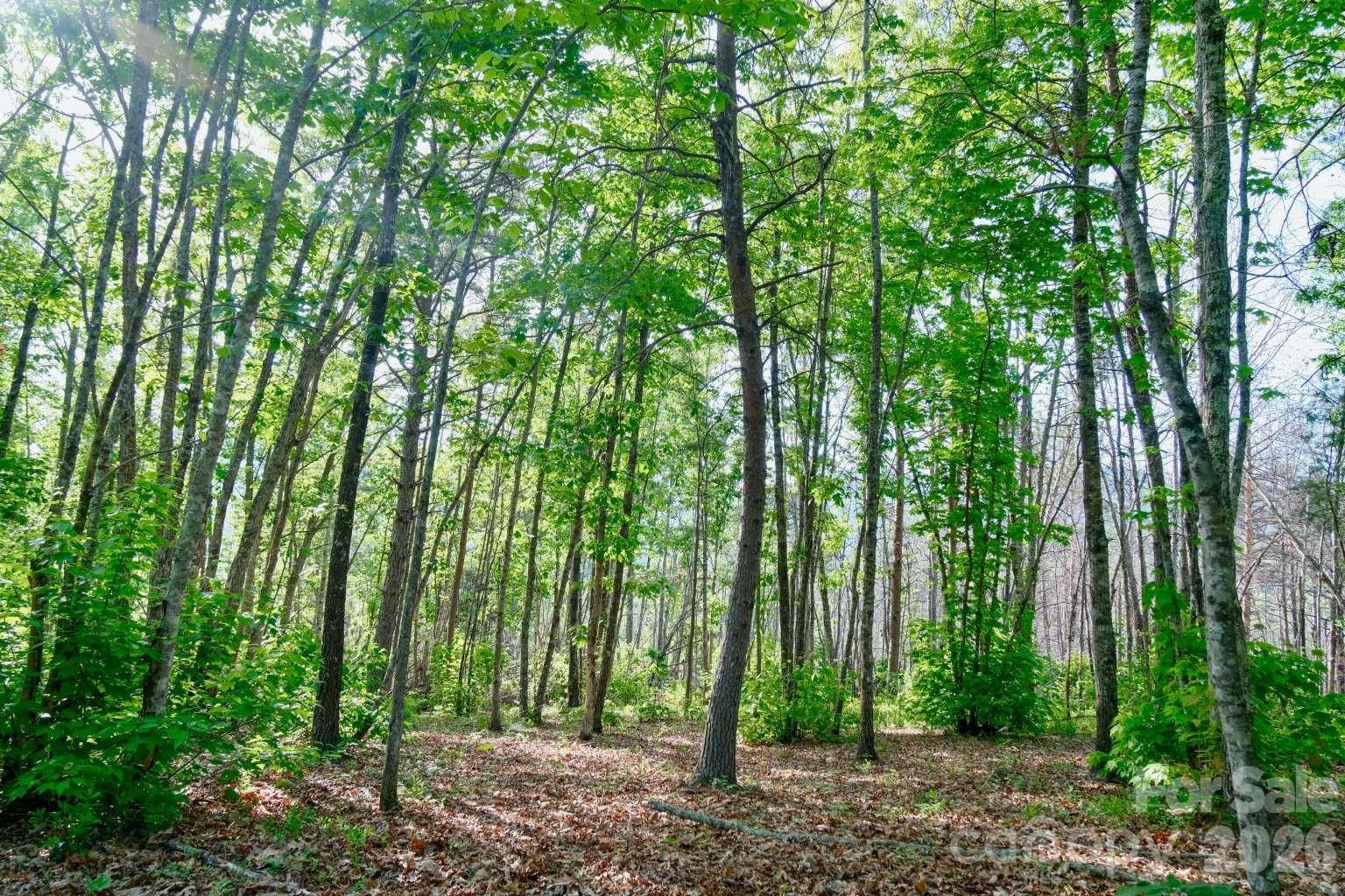 3815 Bat Cave Road Old Fort, NC 28762 - Photo 39 of 45 a view of outdoor space and green space
