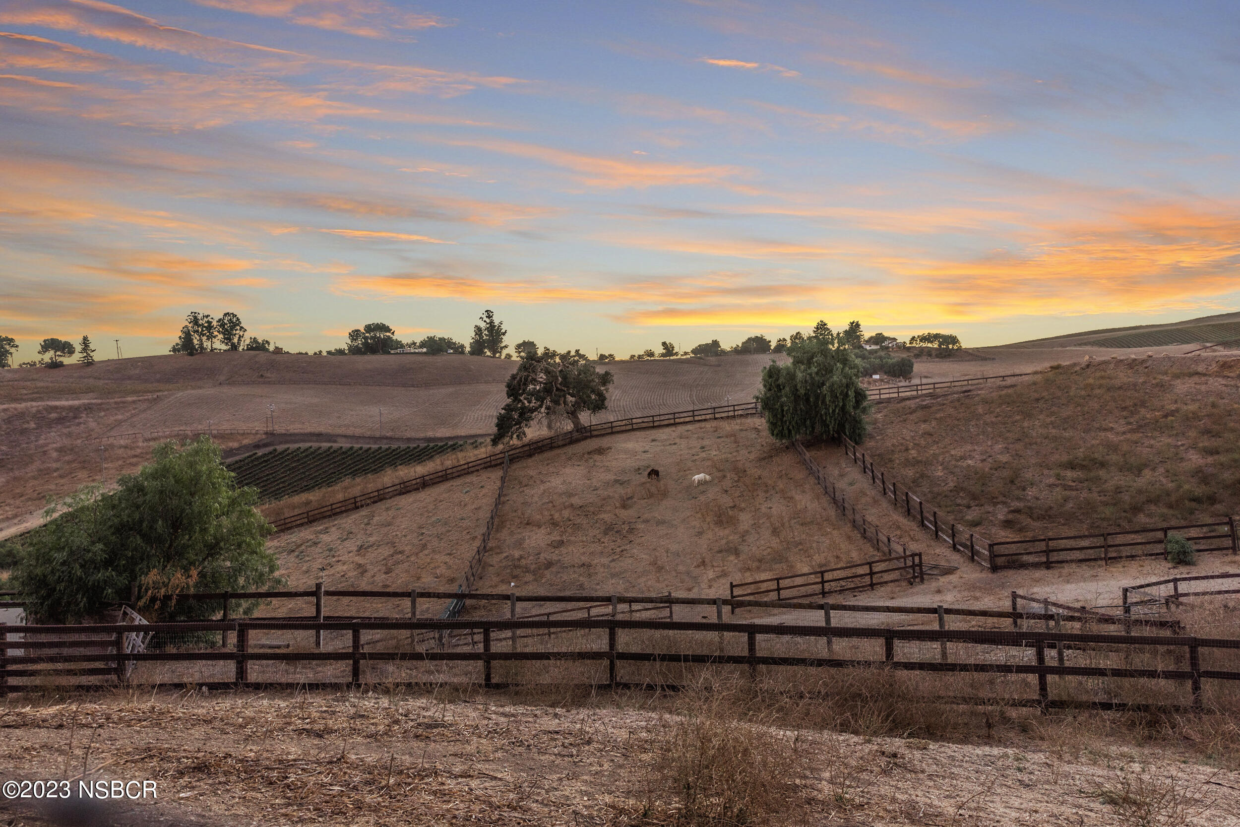 3047 Ballard Canyon Road Solvang, CA 93463 - Photo 25 of 33 Horse Pastures