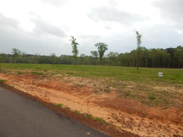 $50,000 | 160 Indian Rock Drive, Gilmer, TX 75645