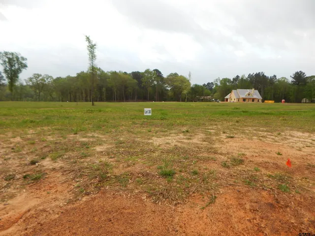 $50,000 | 160 Indian Rock Drive, Gilmer, TX 75645