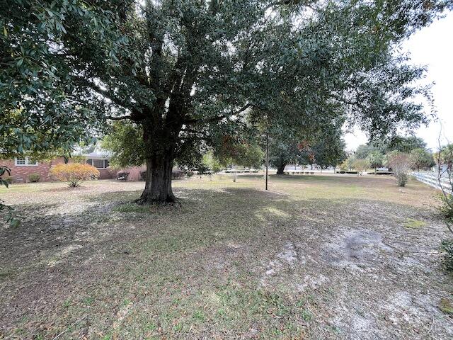 1445 Ruby Road Hartsville, SC 29550 - Photo 12 of 50 Oak on side