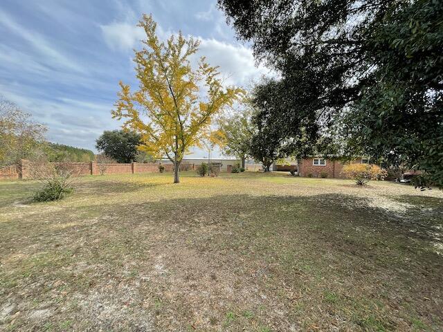1445 Ruby Road Hartsville, SC 29550 - Photo 13 of 50 yellow tree