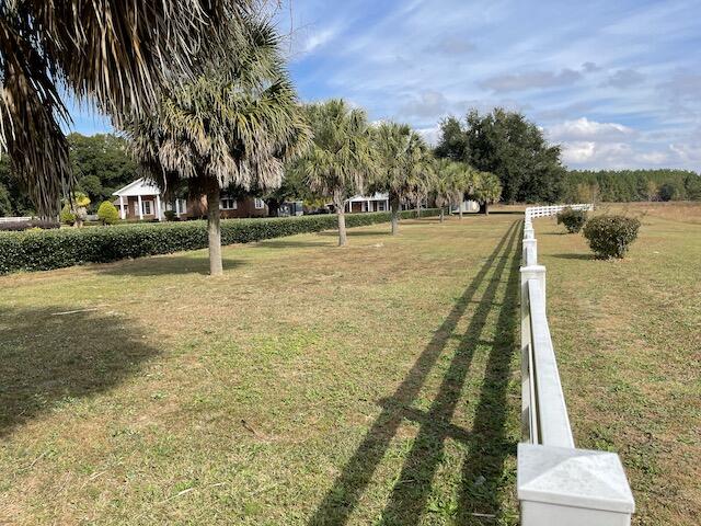 1445 Ruby Road Hartsville, SC 29550 - Photo 8 of 50 Palms from rightside