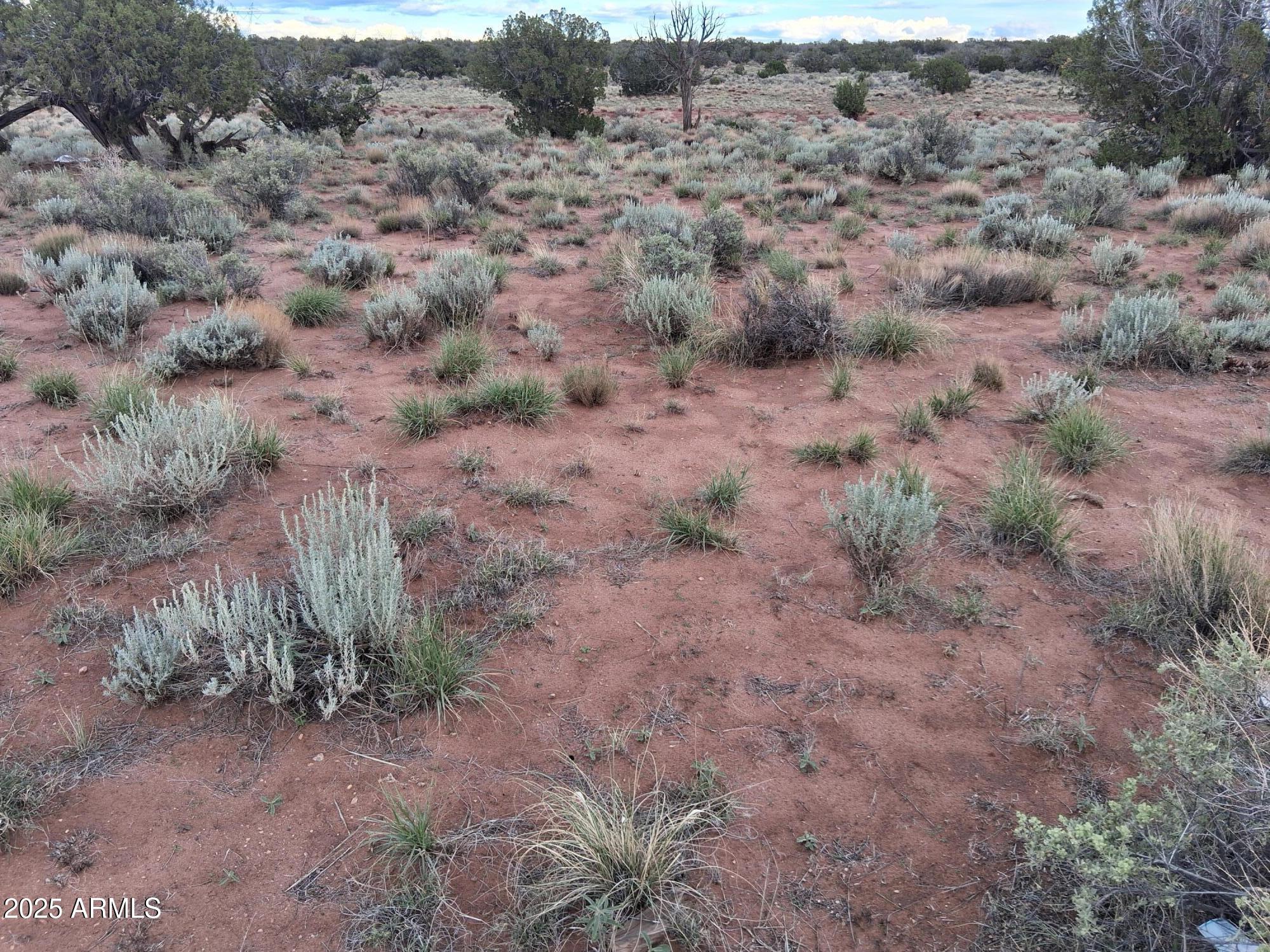 201 County Road Concho, AZ 85924 - Photo 9 of 24