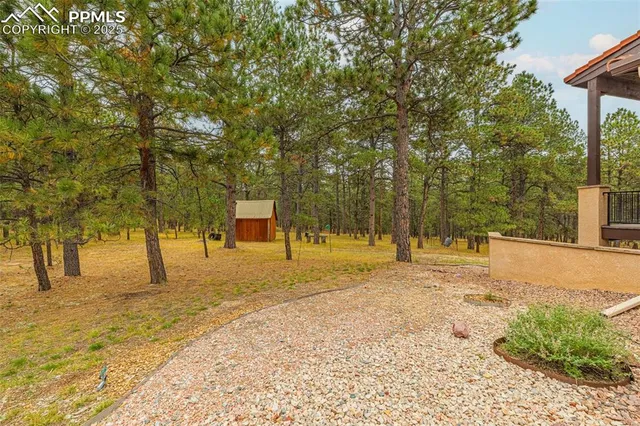 a view of a yard with trees