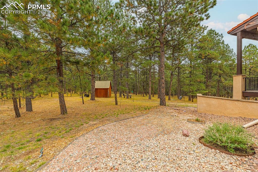 9890 Hardy Road Colorado Springs, CO 80908 - Photo 4 of 41 a view of a yard with trees
