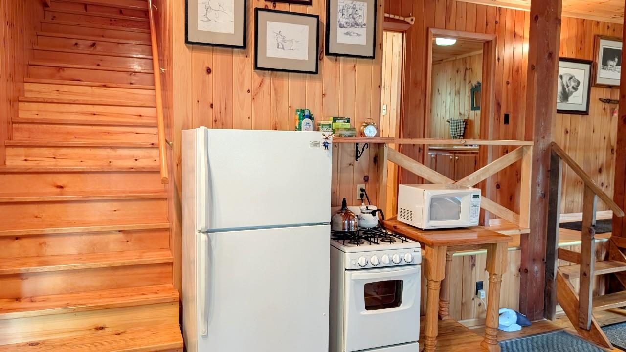 8884 Raps Road Cook, MN 55723 - Photo 14 of 46 Kitchen featuring white appliances and wooden walls
