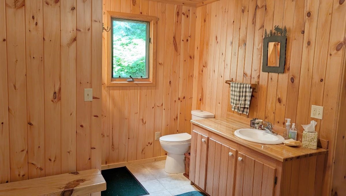 8884 Raps Road Cook, MN 55723 - Photo 26 of 46 Half bathroom featuring vanity, wooden walls, and light tile patterned floors