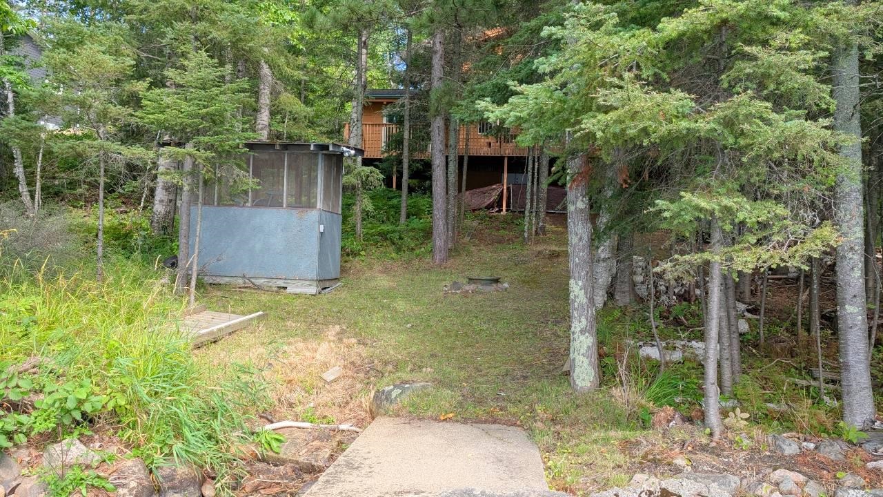 8884 Raps Road Cook, MN 55723 - Photo 31 of 46 View of yard