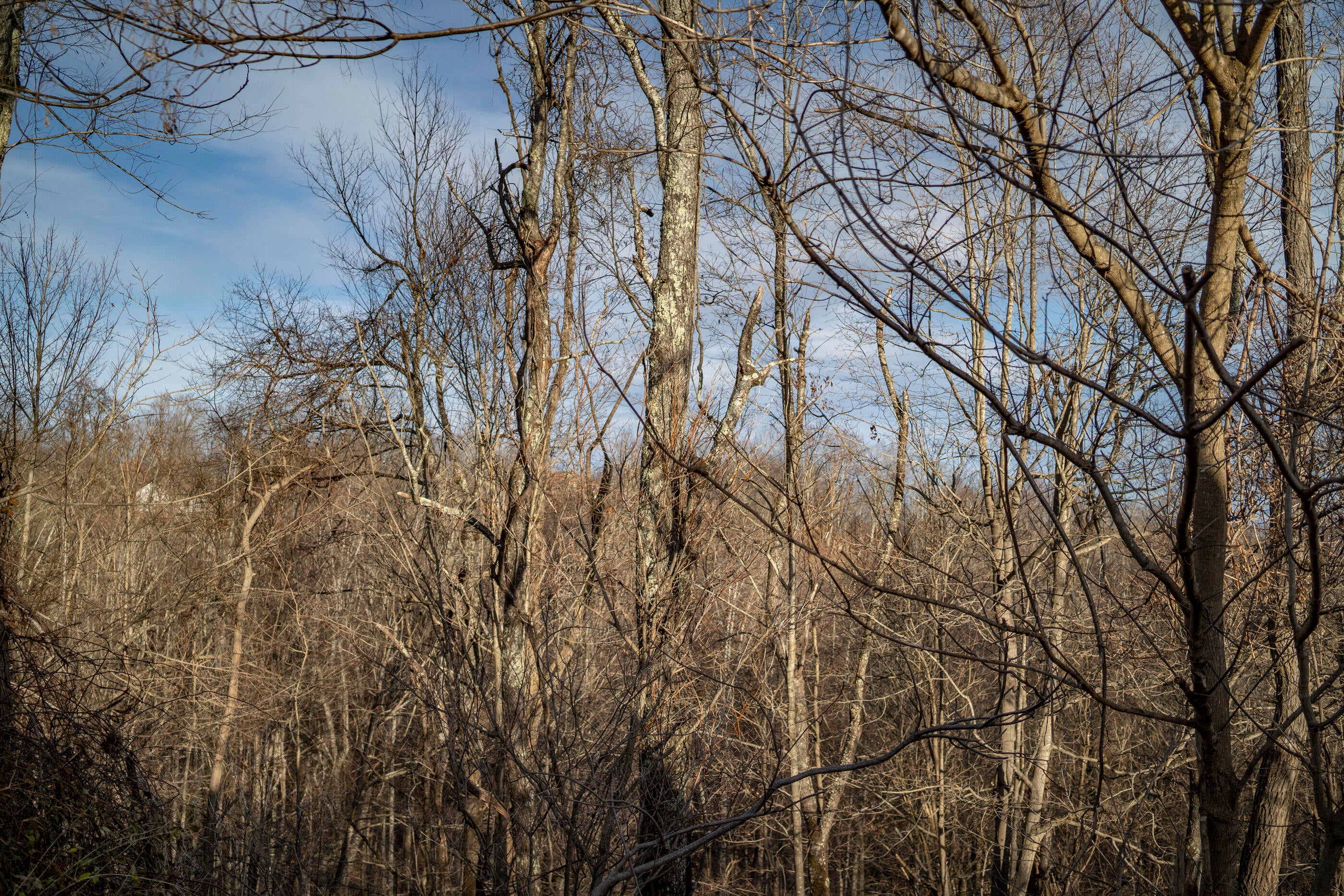 3866 Elk Knob Road Hinton, WV 25951 - Photo 41 of 43 Gallery Image 41