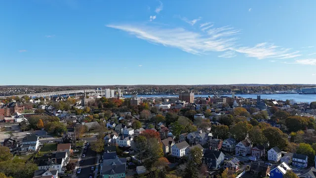 a view of a city with lush green space