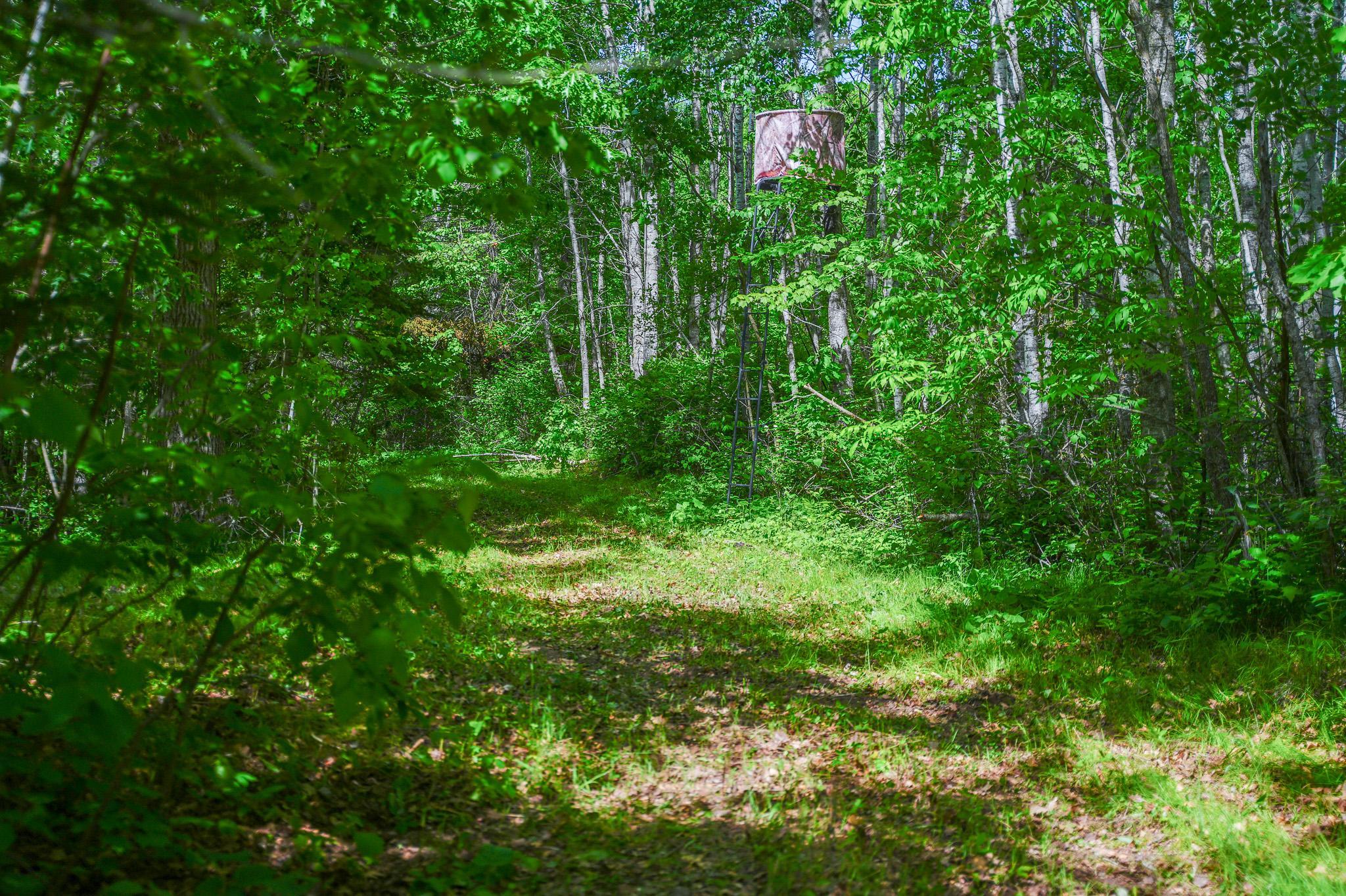 47 Co Highway 47 Osage, MN 56570 - Photo 41 of 59
