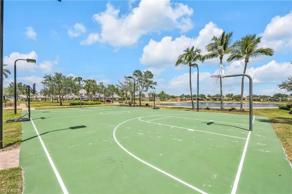 a view of a park with palm trees