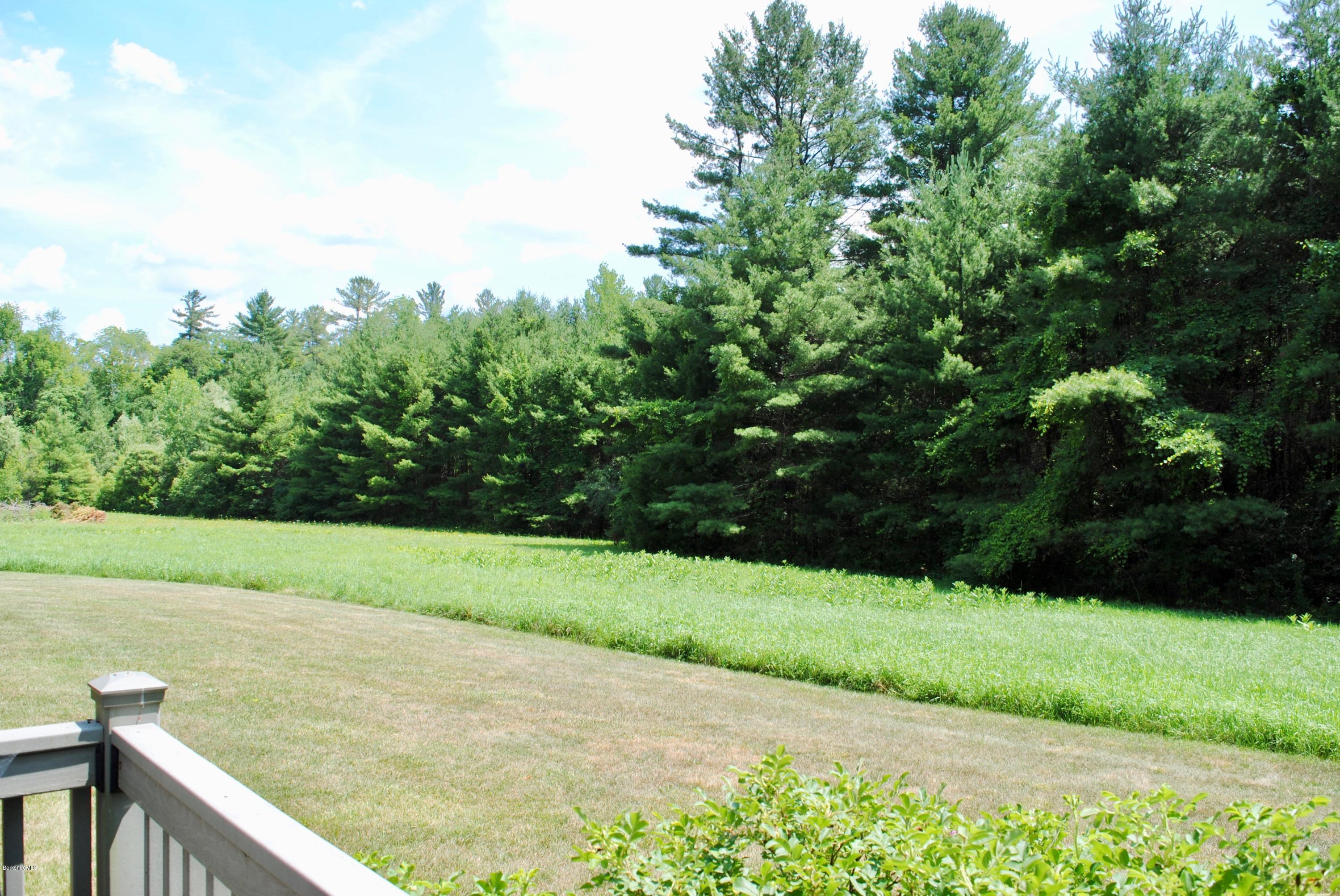 19 Hawthorne Road, Unit 11A Stockbridge, MA 01240 - Photo 28 of 29 Pastures - July