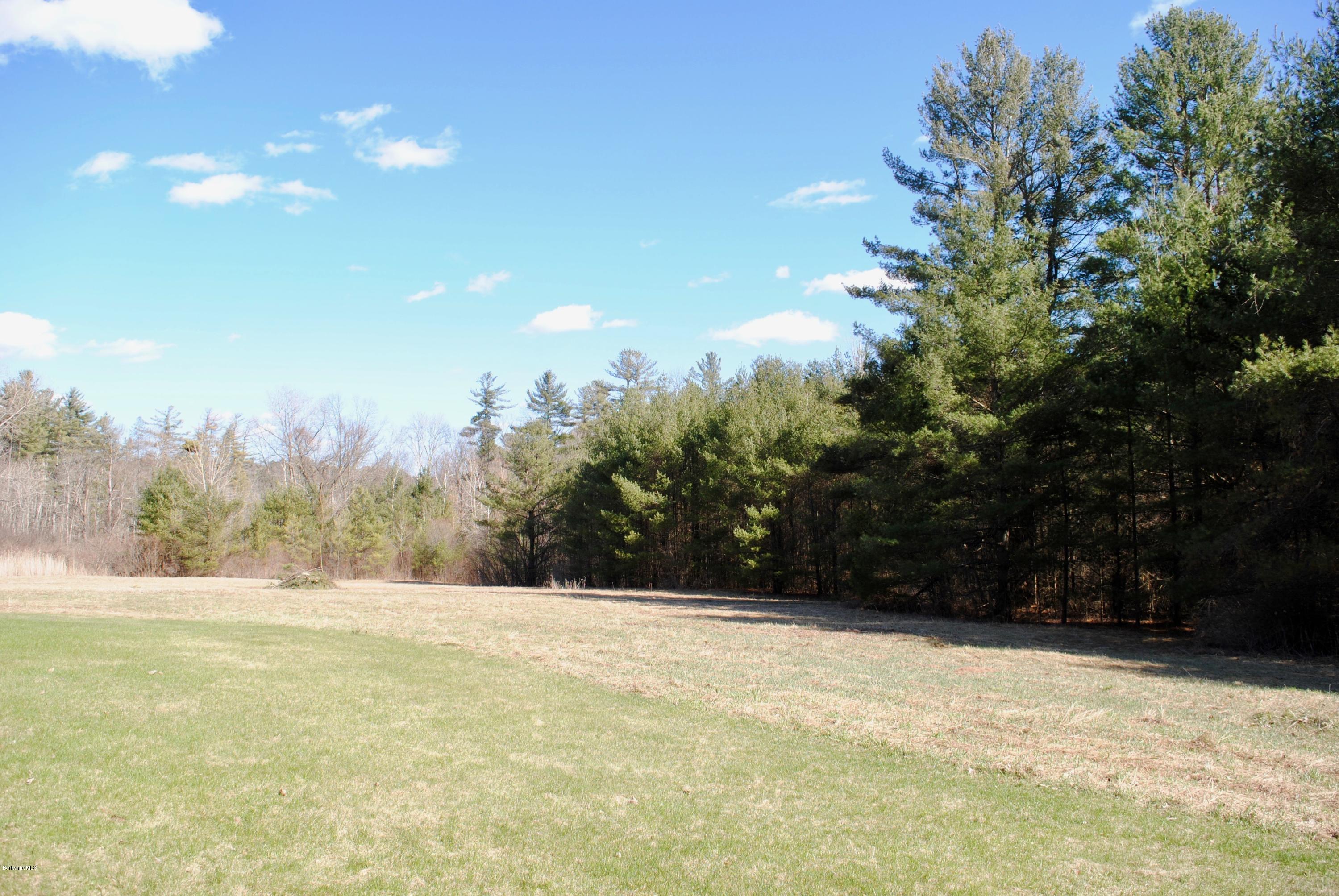 19 Hawthorne Road, Unit 11A Stockbridge, MA 01240 - Photo 6 of 29 The Meadows