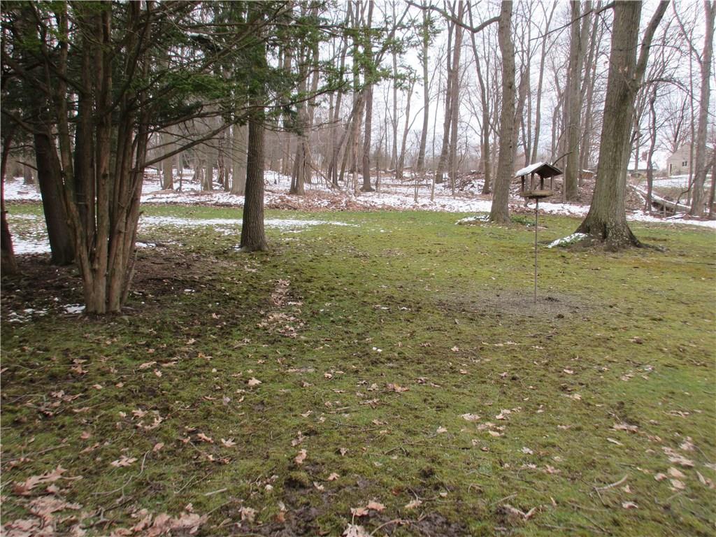 3842 Dickey Road Gibsonia, PA 15044 - Photo 21 of 23 Backyard