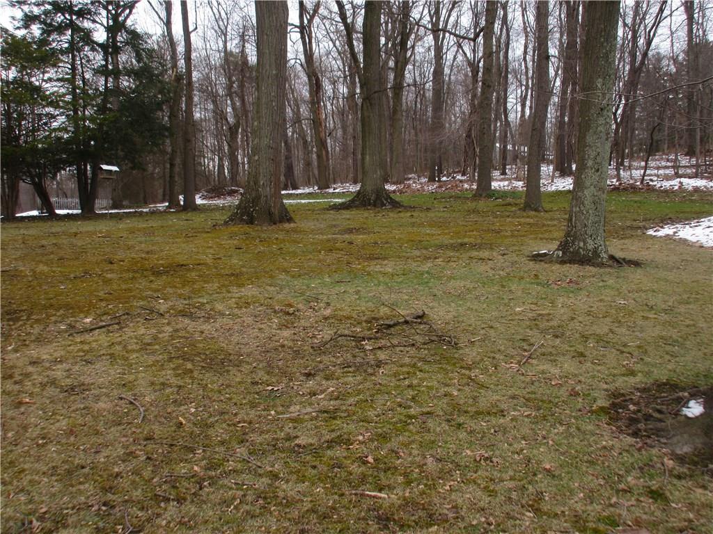 3842 Dickey Road Gibsonia, PA 15044 - Photo 22 of 23 Backyard