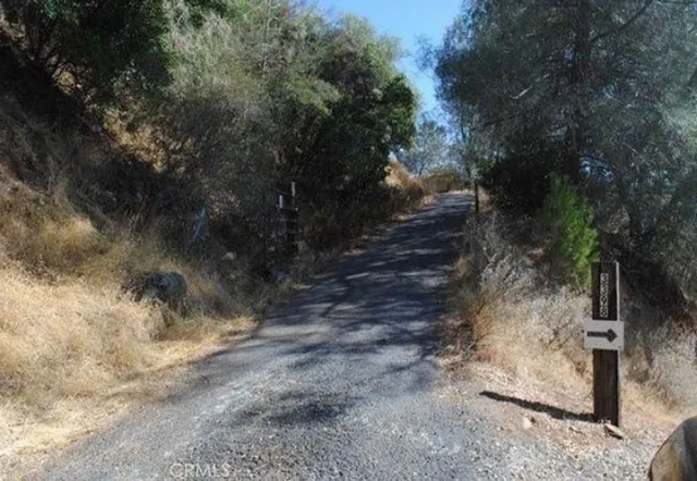 a view of a yard next to a road