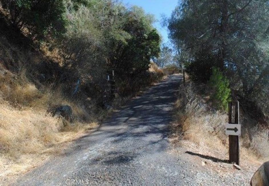 a view of a yard next to a road