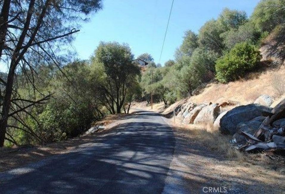 3425 Paint Road Angels Camp, CA 95222 - Photo 2 of 2 a view of yard with tree s