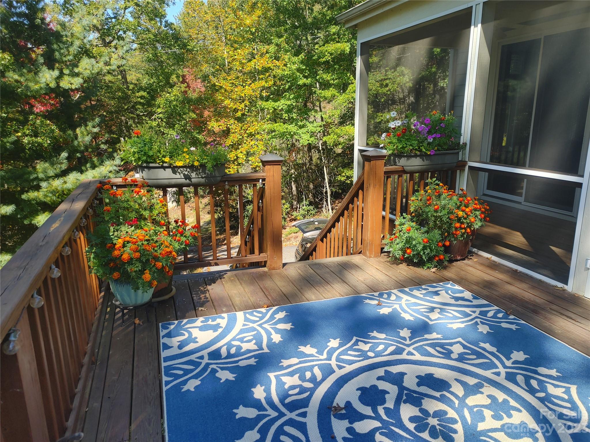 209 Whitaker Road Fairview, NC 28730 - Photo 2 of 44