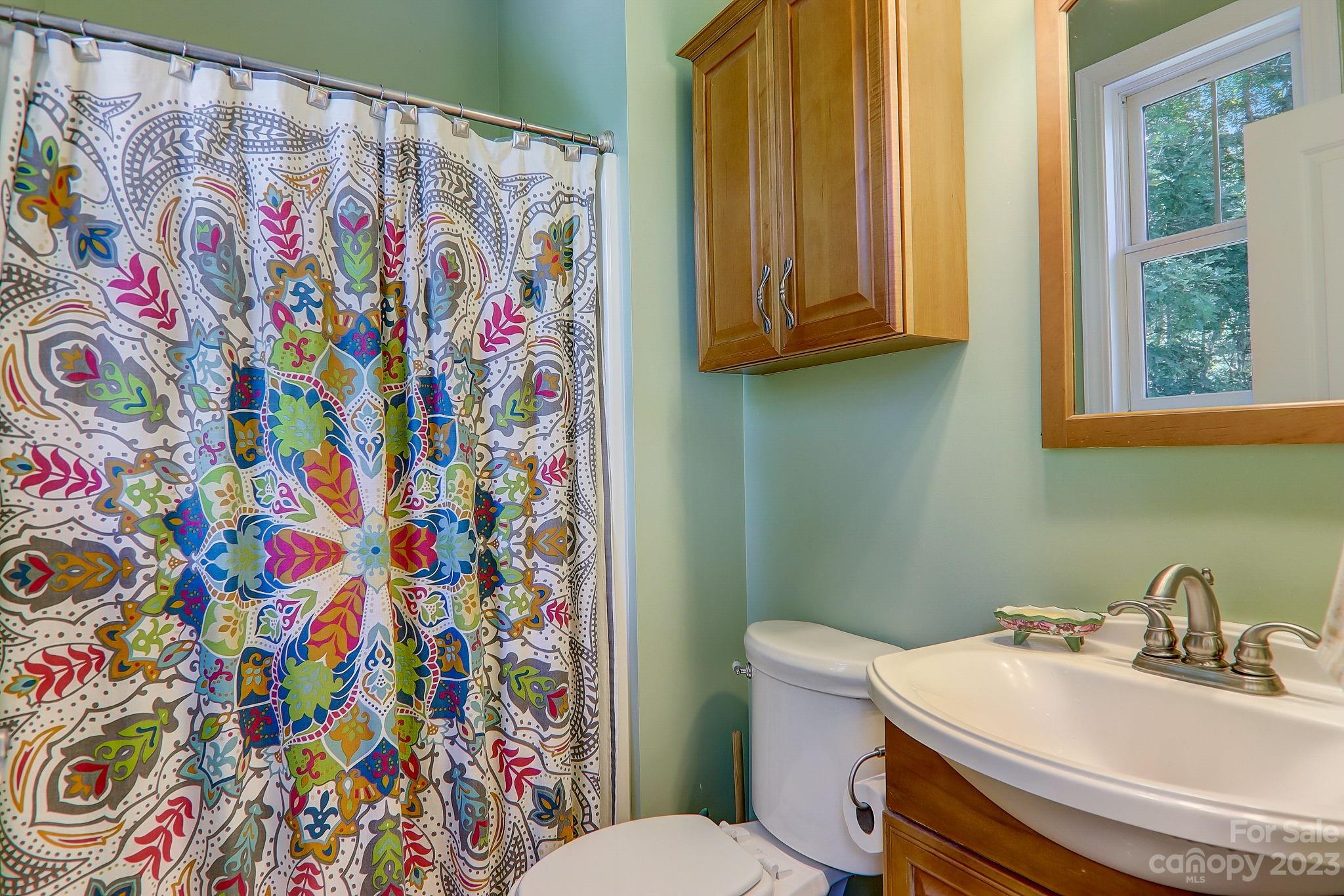 209 Whitaker Road Fairview, NC 28730 - Photo 21 of 44 a bathroom with a sink and a toilet