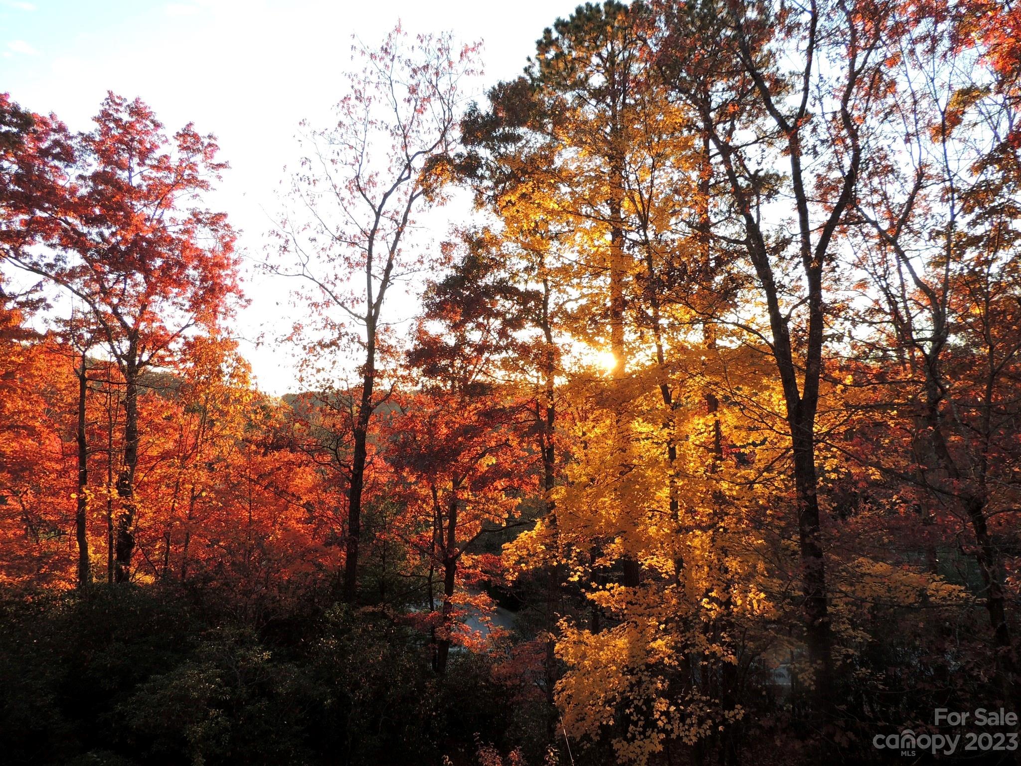209 Whitaker Road Fairview, NC 28730 - Photo 4 of 44