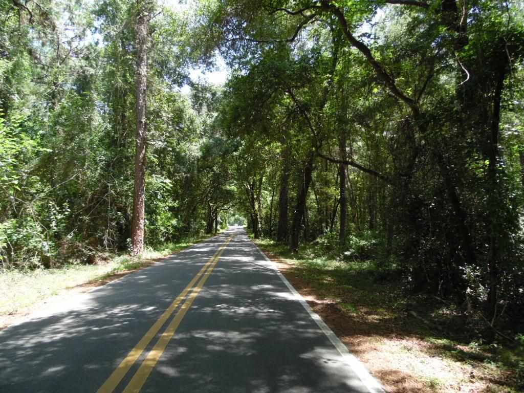Xx West Glenn Road Monticello, FL 32344 - Photo 4 of 7 Gallery Image 4