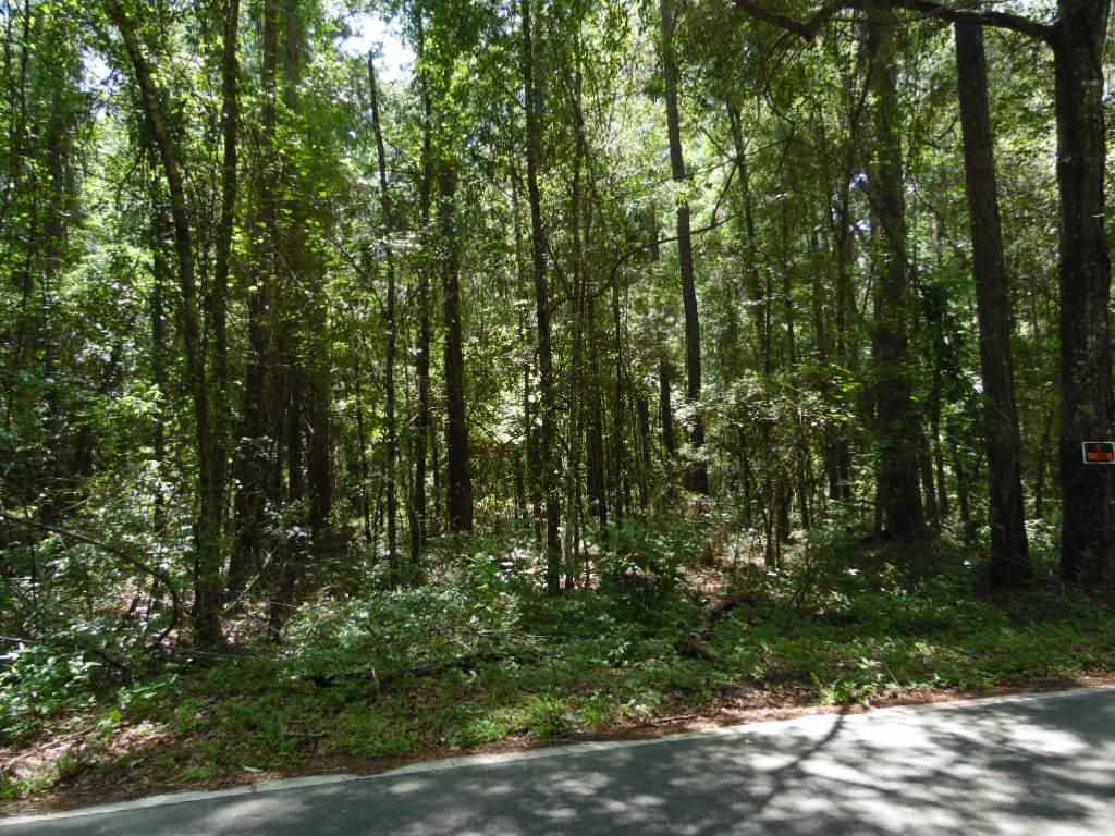 Xx West Glenn Road Monticello, FL 32344 - Photo 5 of 7 Gallery Image 5