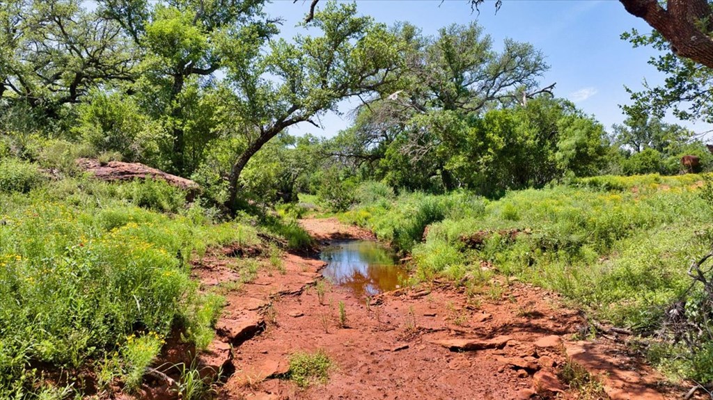 3676 Red Lane Mason, TX 76856 - Photo 16 of 93