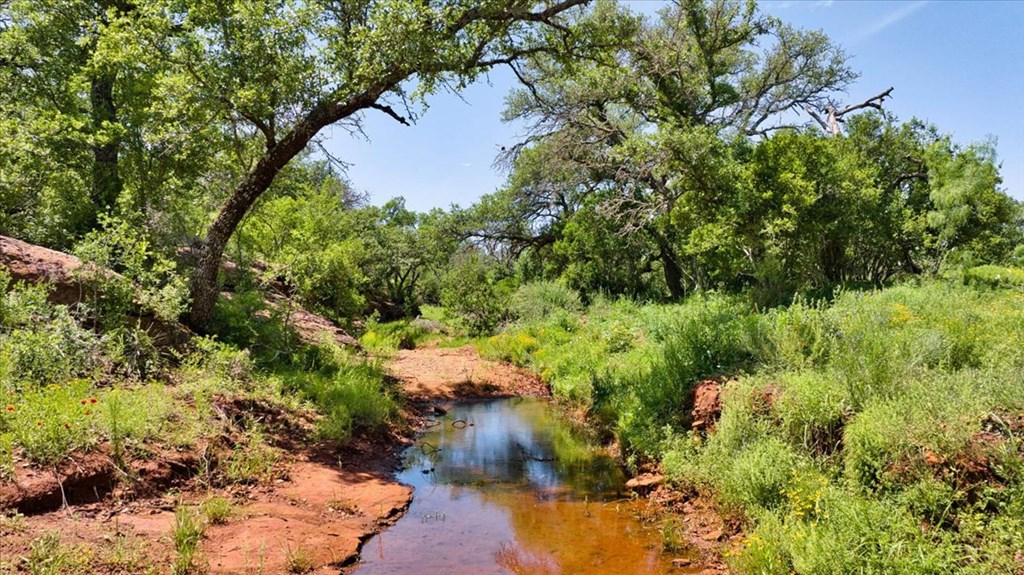 3676 Red Lane Mason, TX 76856 - Photo 17 of 93
