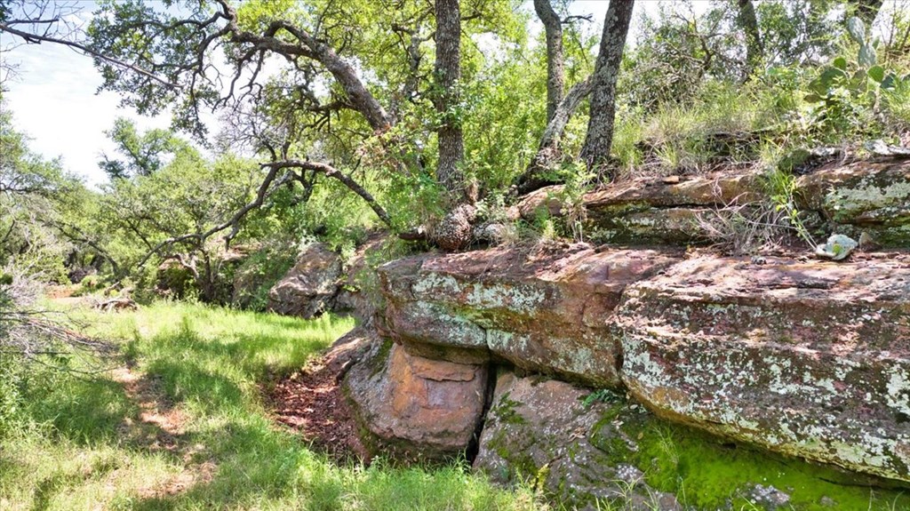 3676 Red Lane Mason, TX 76856 - Photo 19 of 93