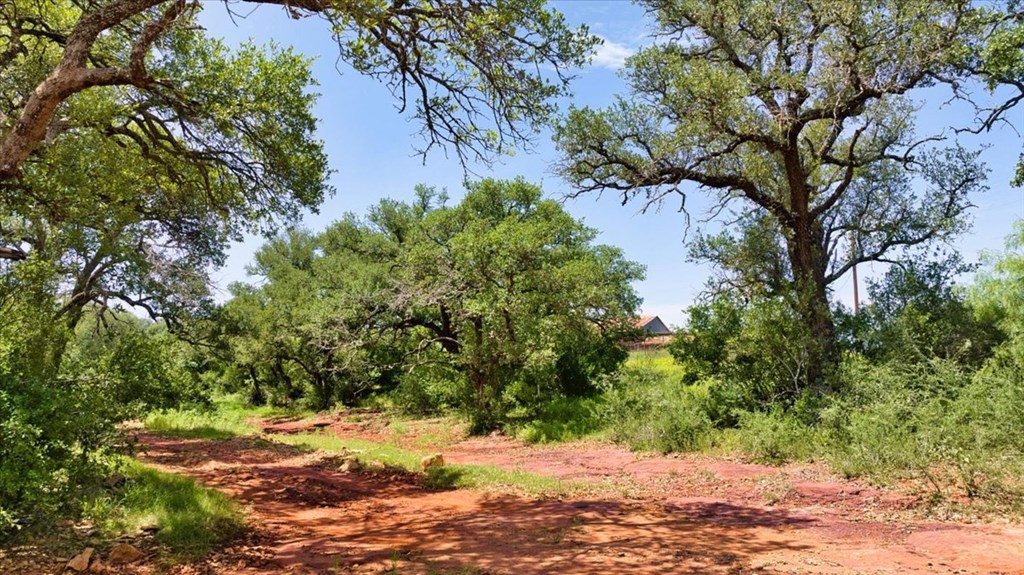 3676 Red Lane Mason, TX 76856 - Photo 20 of 93