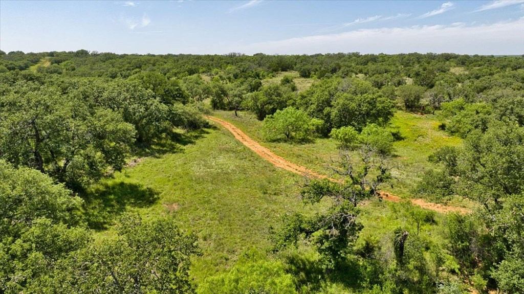 3676 Red Lane Mason, TX 76856 - Photo 27 of 93