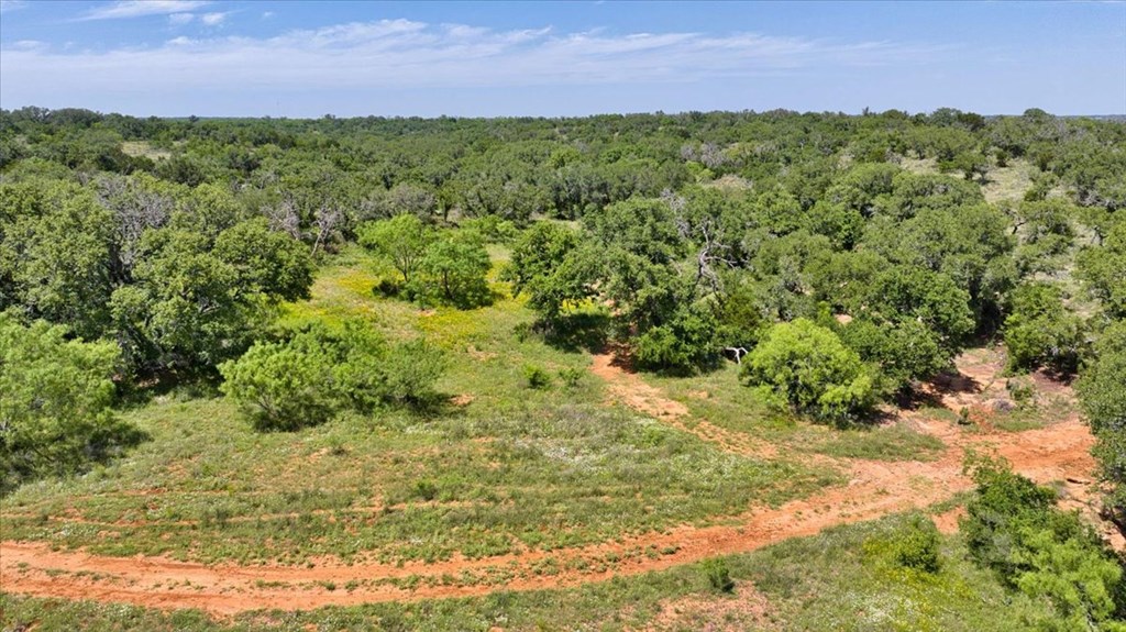 3676 Red Lane Mason, TX 76856 - Photo 28 of 93