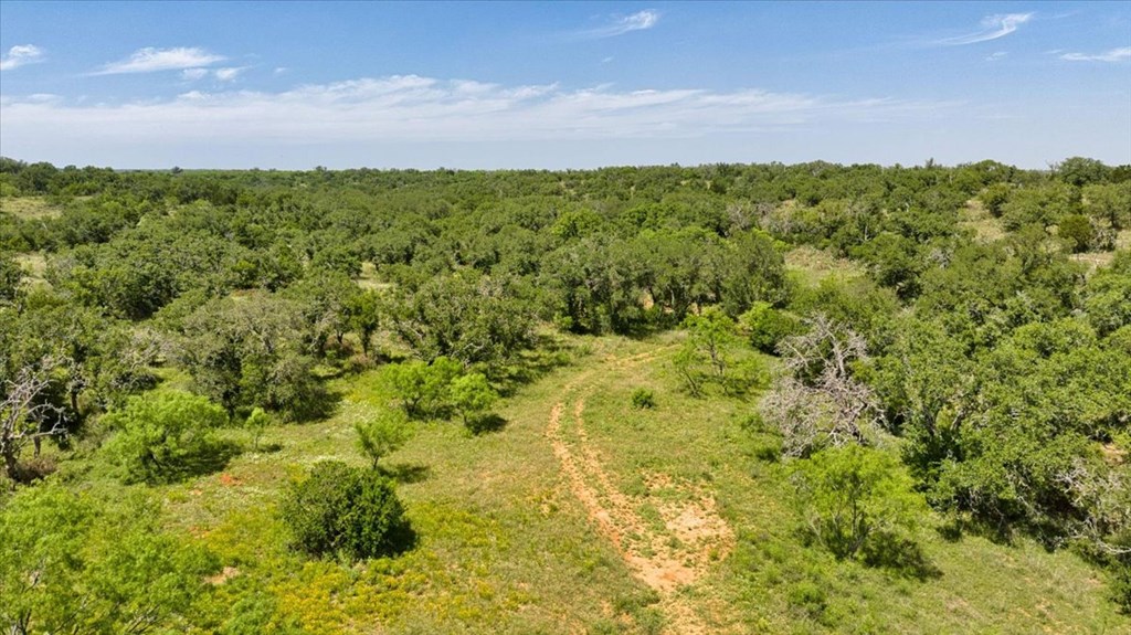 3676 Red Lane Mason, TX 76856 - Photo 29 of 93