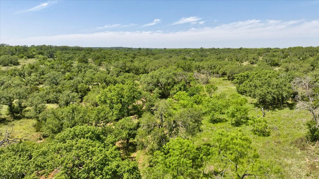 3676 Red Lane Mason, TX 76856 - Photo 30 of 93