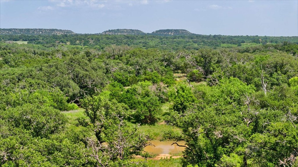 3676 Red Lane Mason, TX 76856 - Photo 36 of 93