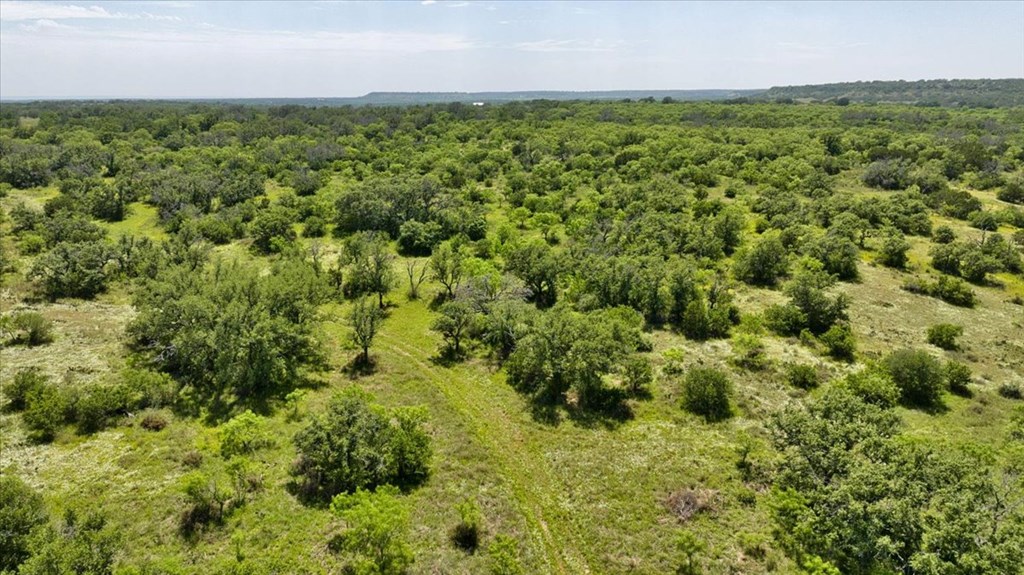 3676 Red Lane Mason, TX 76856 - Photo 39 of 93