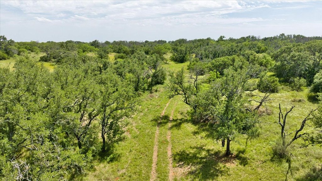3676 Red Lane Mason, TX 76856 - Photo 40 of 93