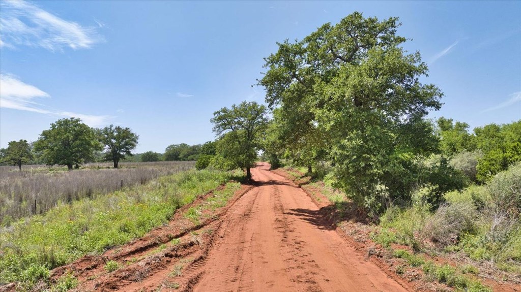 3676 Red Lane Mason, TX 76856 - Photo 4 of 93