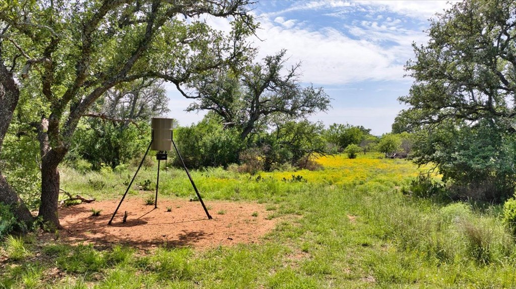 3676 Red Lane Mason, TX 76856 - Photo 47 of 93