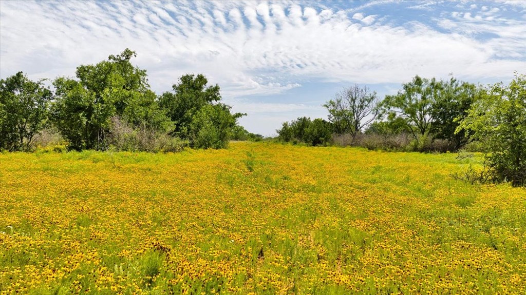 3676 Red Lane Mason, TX 76856 - Photo 48 of 93