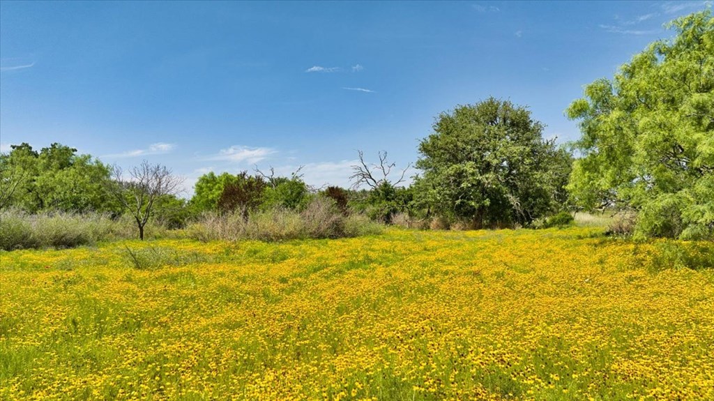 3676 Red Lane Mason, TX 76856 - Photo 49 of 93
