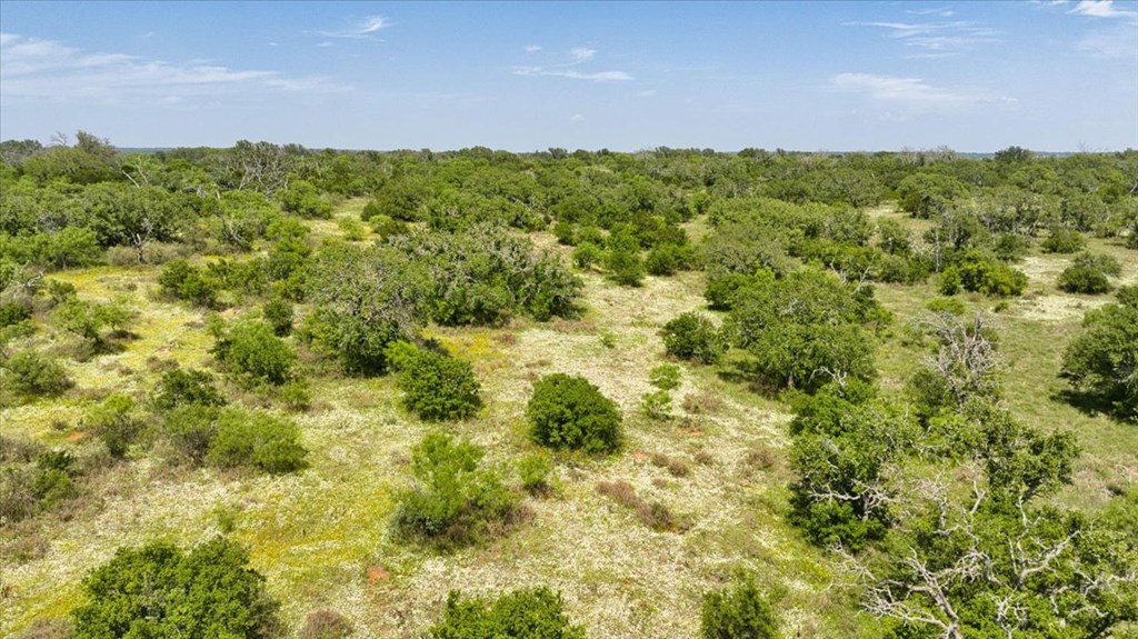 3676 Red Lane Mason, TX 76856 - Photo 51 of 93