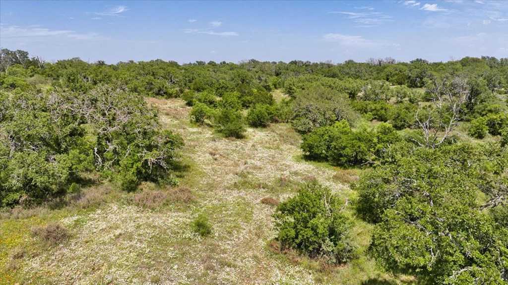 3676 Red Lane Mason, TX 76856 - Photo 52 of 93