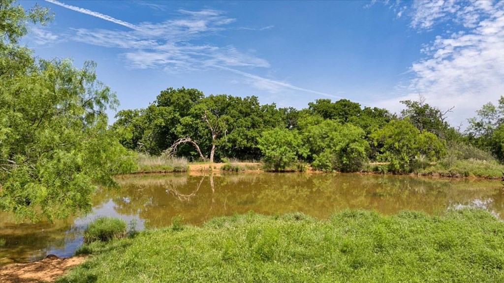 3676 Red Lane Mason, TX 76856 - Photo 54 of 93