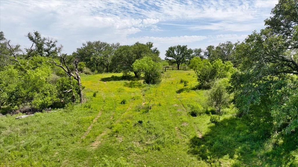 3676 Red Lane Mason, TX 76856 - Photo 62 of 93